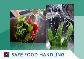 Safe Food Handling
