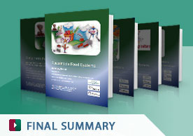 Download Final Summary