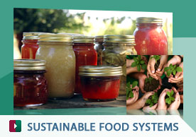 Sustainable Food Systems